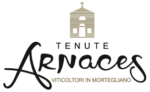 Tenute Arnaces logo
